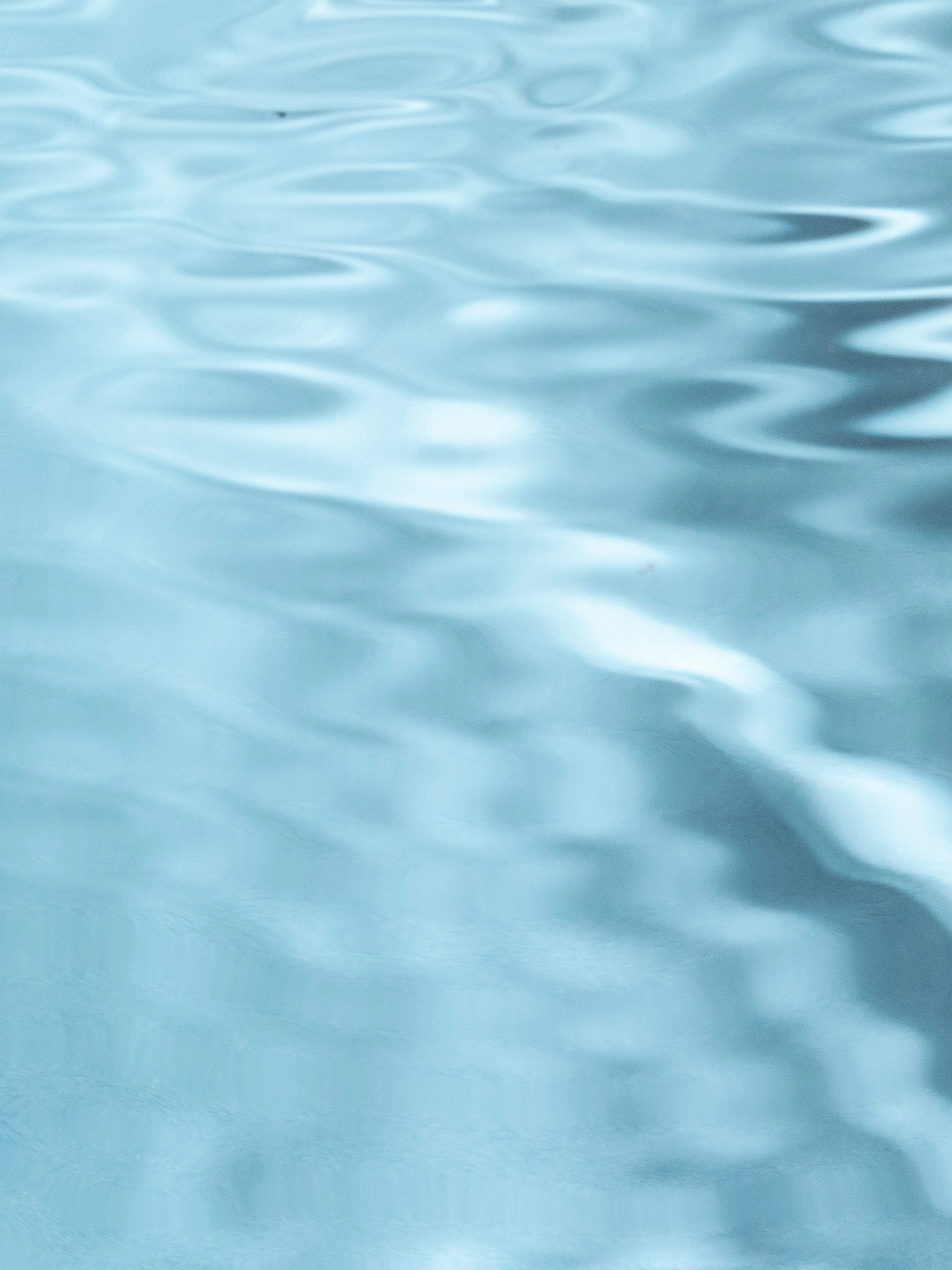 Aqua Coralline - Image 2