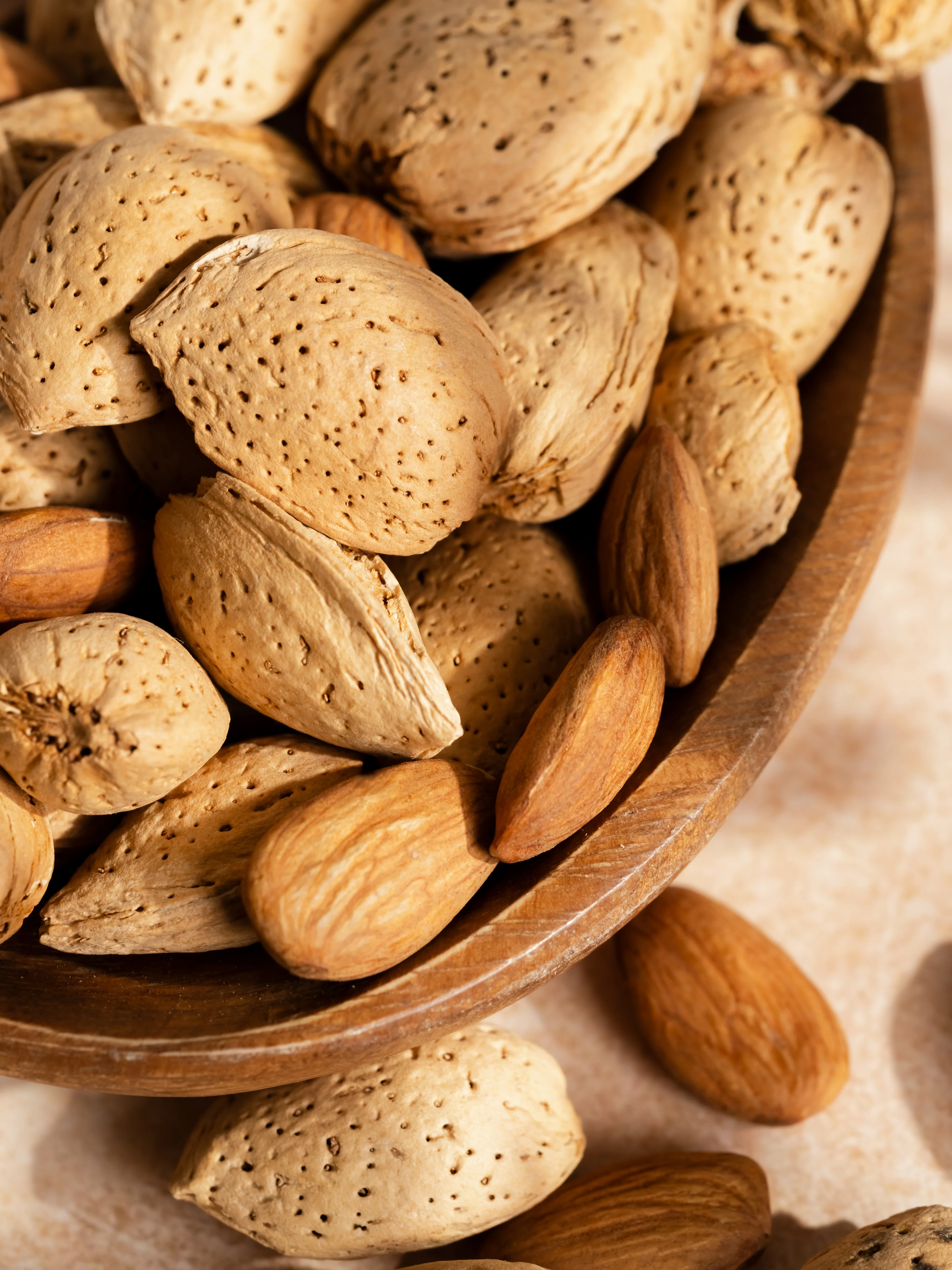 Cocoa Almond - Image 2