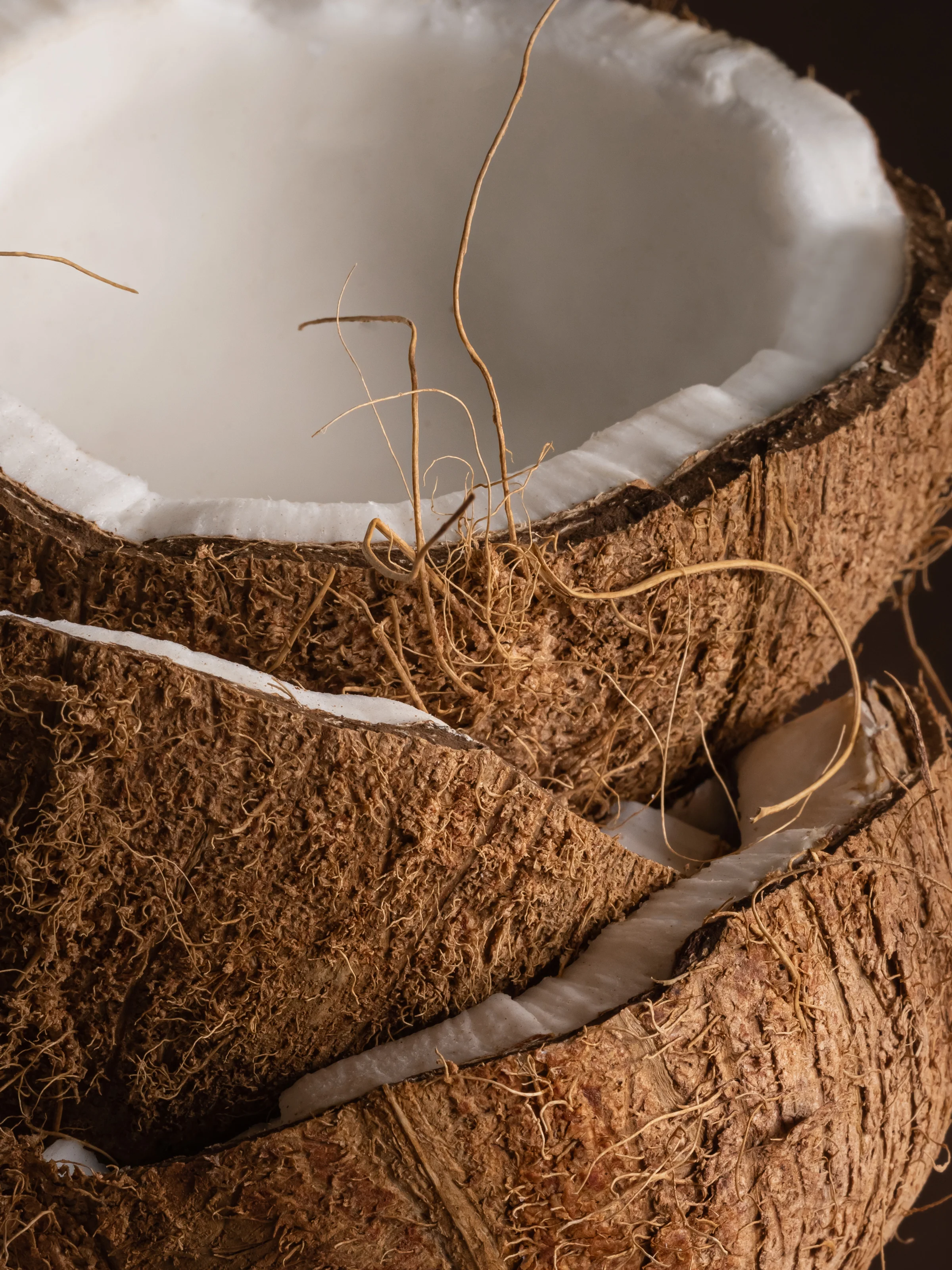 Coconut - Image 2