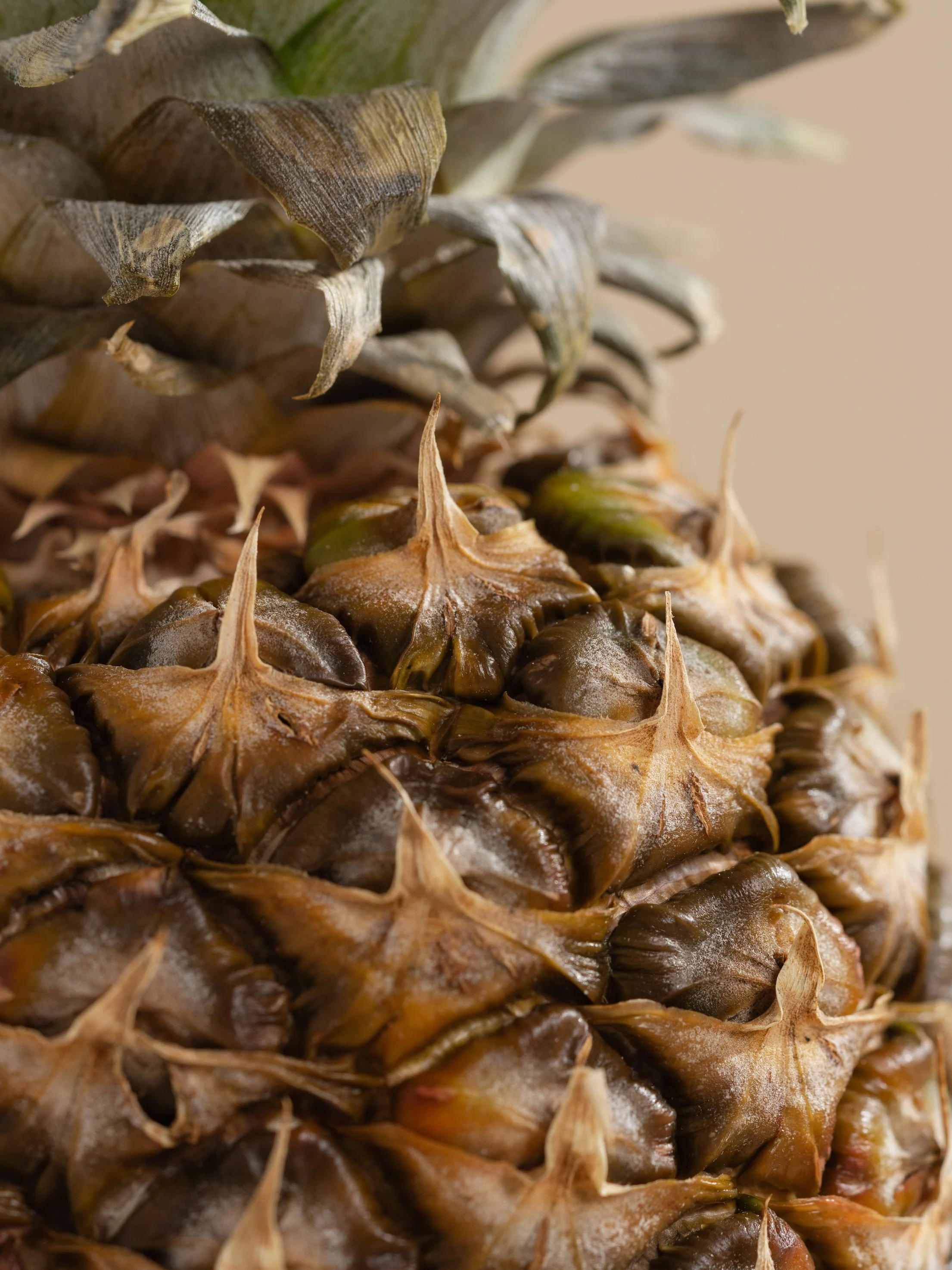 Pineapple Cilantro - Image 2