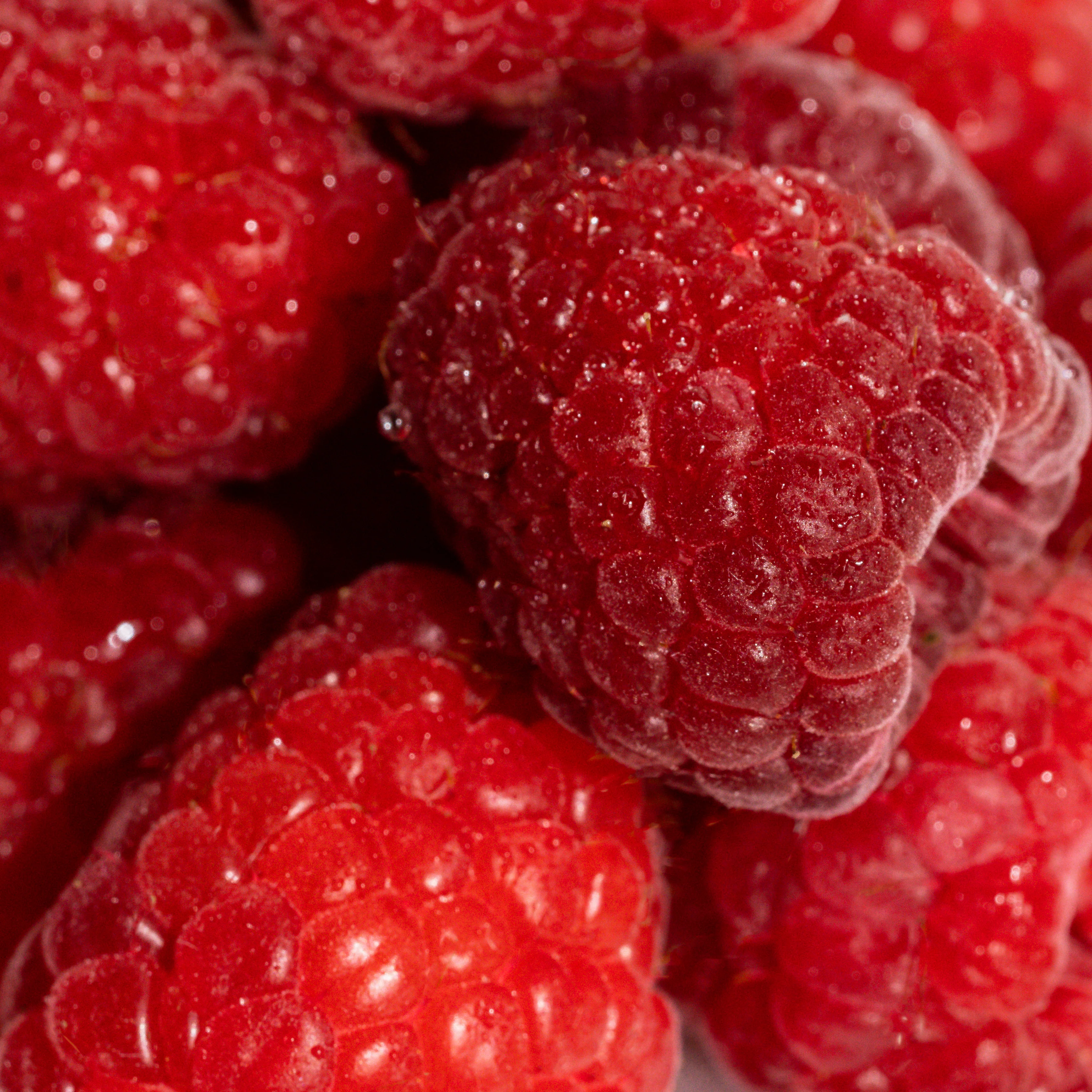 Vanilla Berry - Image 2