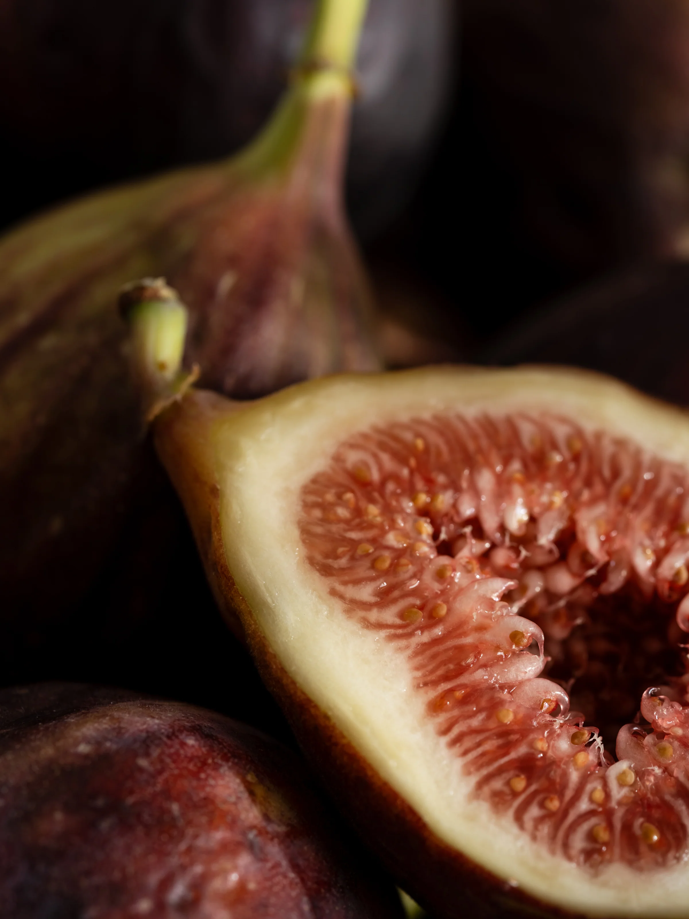 Violet Fig - Image 2