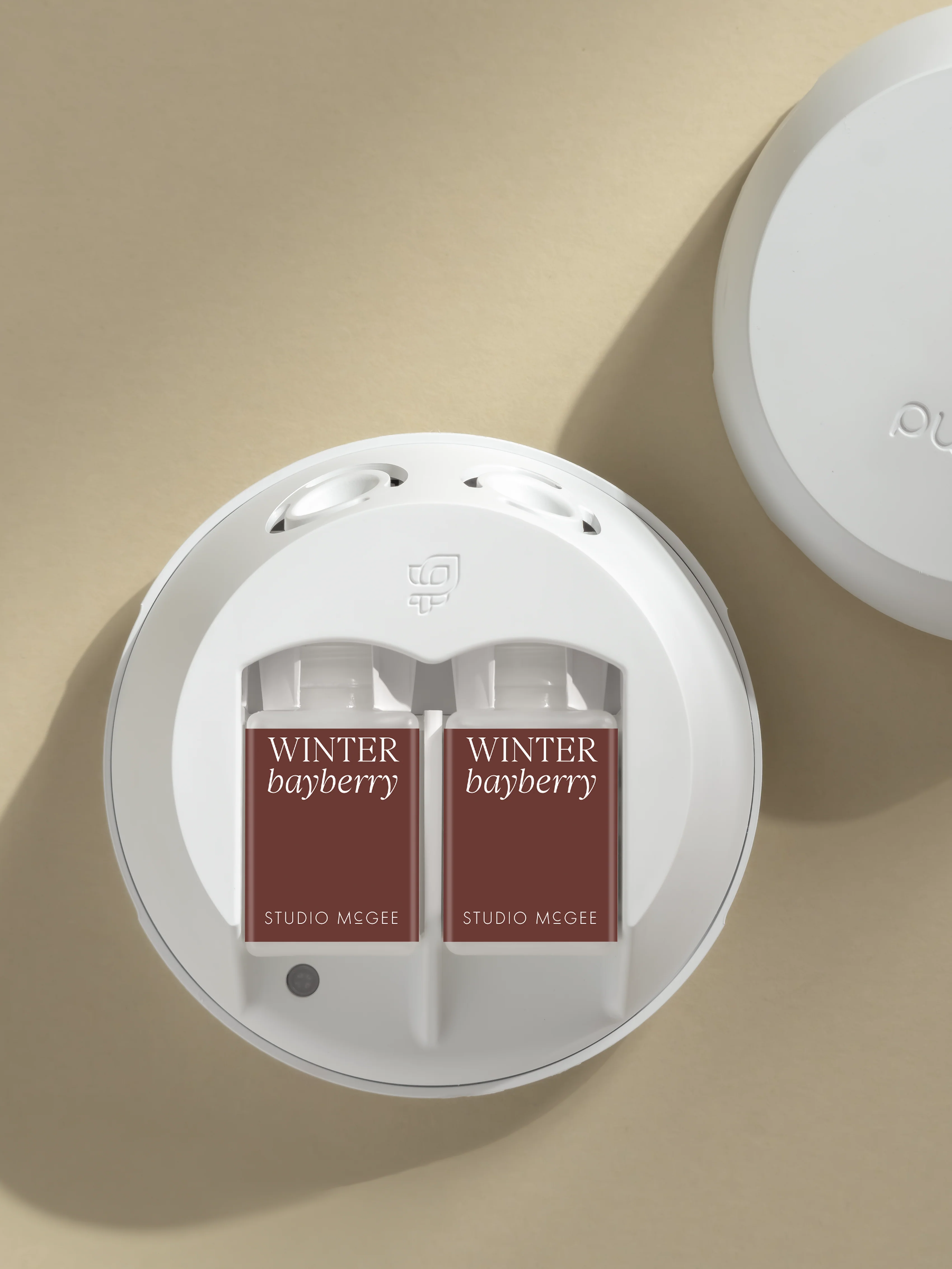 Winter Bayberry - Image 3